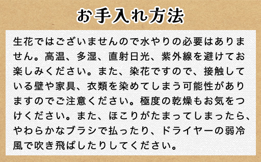 プリザーブドフラワーアレンジ(額装）中　(黄色・オレンジ系)　