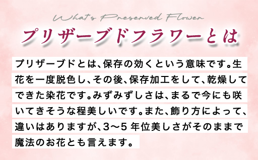 プリザーブドフラワーアレンジ(額装）大　(赤系)