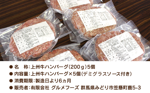 【193】 生冷凍 上州牛入りハンバーグ1kg（200g×5個）