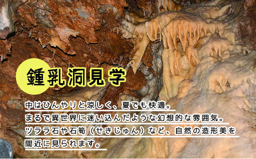 【56】小平の里 流しうどん体験&鍾乳洞見学 2名様