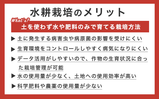 【a014】フルーツトマト糖九郎（Sサイズ）1kg箱18玉~20玉満杯詰め　2027年3月〜5月中旬発送分