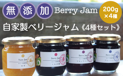 【21】Berry Jam