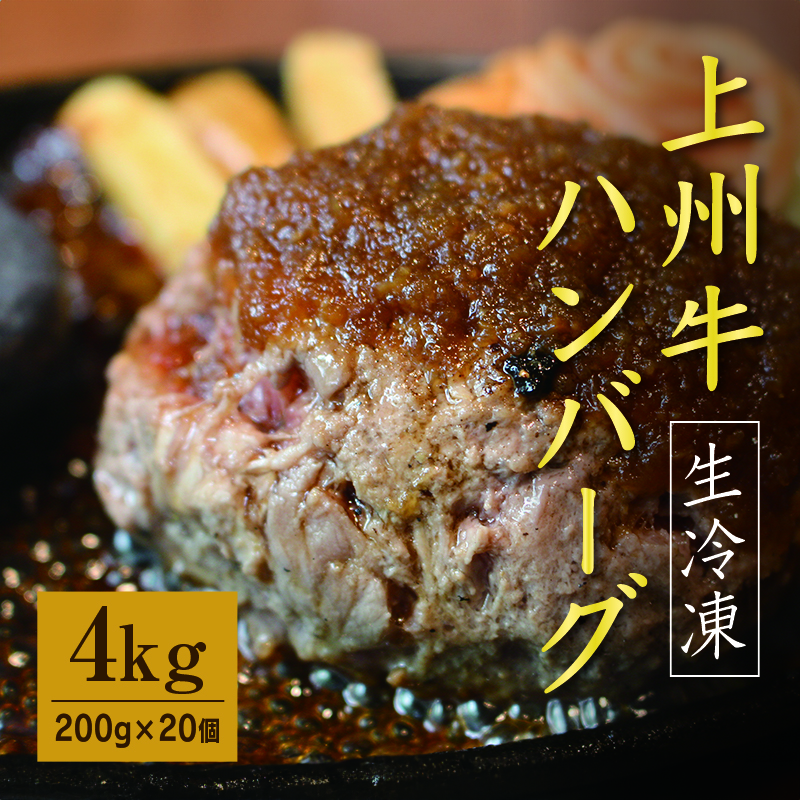 【195】 生冷凍 上州牛ハンバーグ4kg（200g×20個）