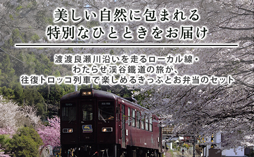 【49】わたらせ渓谷鐵道「トロッコ列車の旅セット」 ※こども１名用