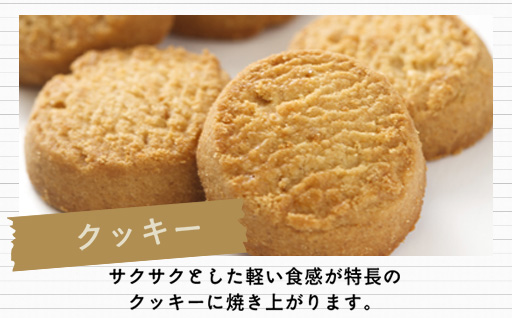 鄒、鬥ャ逵悟ー城コヲ100%縺ョ荳ュ蜉帷イ