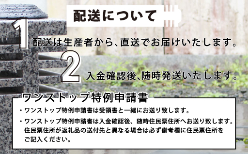 縲138縲代ぎ繝シ繝繝ウ繝ゥ繧、繝医せ繧ソ繝ウ繝