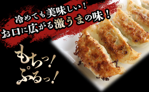 【80】おざわの上州冷凍餃子125個入り