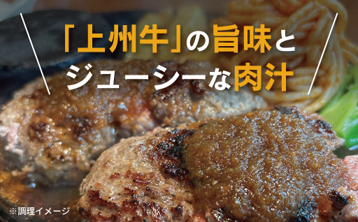 【193】 生冷凍 上州牛入りハンバーグ1kg（200g×5個）