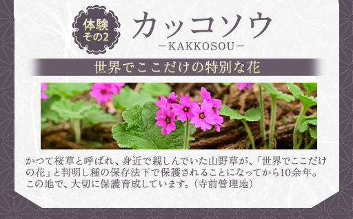 豁」遖丞ッコ縺ョ螟ゥ莠慕判縺ィ繧ォ繝繧ウ繧ス繧ヲ繧定ィェ縺ュ縺ヲ