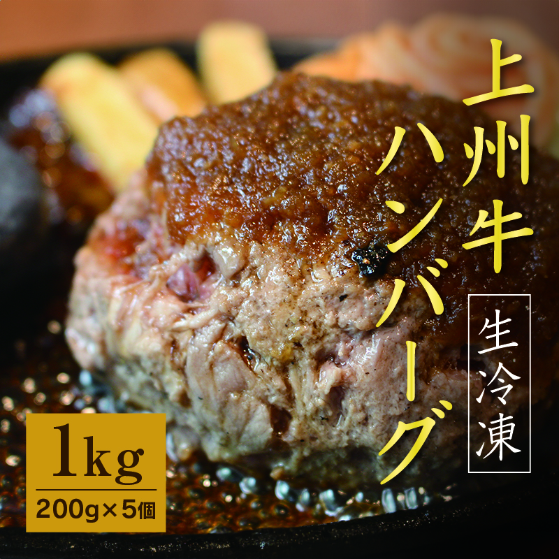 【193】 生冷凍 上州牛ハンバーグ 1kg（200g×5個）