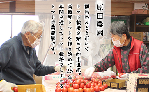 【a013】フルーツトマト糖九郎（Mサイズ）1kg箱15玉満杯詰め　2027年3月〜5月中旬発送分