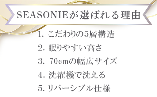 【160】こだわりの5層構造プレミアム枕とシルク枕パットのセット