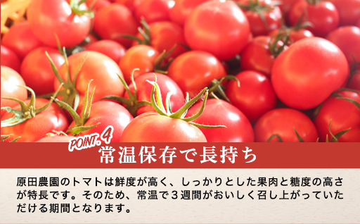 【a013】フルーツトマト糖九郎（Mサイズ）1kg箱15玉満杯詰め　2027年3月〜5月中旬発送分