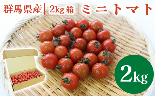 【11】ミニトマト2kg箱【10月以降順次発送】