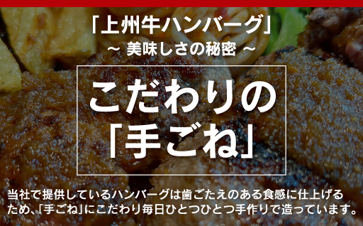 【194】生冷凍 上州牛入りハンバーグ2kg（200g×10個）
