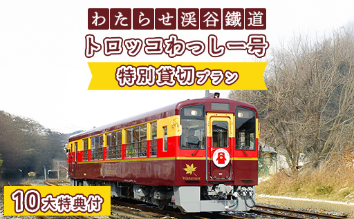 わたらせ渓谷鐵道　トロッコわっしー号　特別貸切プラン