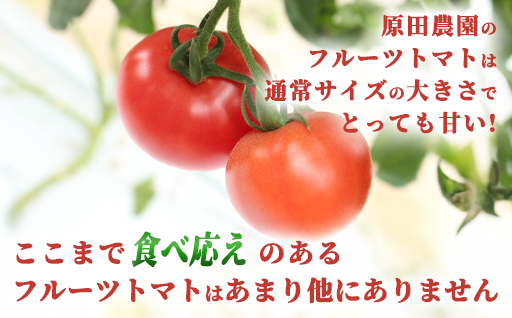 ãa009ããã«ãŒããããç³åéïŒLãµã€ãºïŒ1kgç®±12ç~13çæºæ¯è©°ãã2026幎3æã5æçºéå