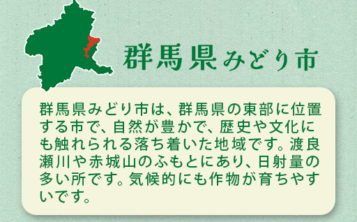 【11】ミニトマト2kg箱【10月以降順次発送】