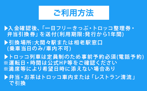 【73】わたらせ渓谷鐵道「トロッコ列車の旅セット」 ※おとな１名用