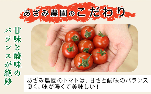 【11】ミニトマト2kg箱【10月以降順次発送】