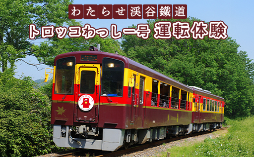 わたらせ渓谷鐵道　トロッコわっしー号運転体験