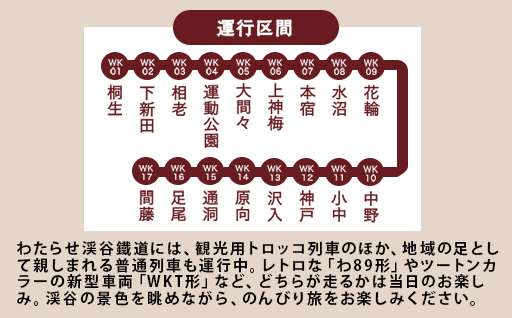 【96】わたらせ渓谷鐵道「わ鐵のわっしー」グッズ＆一日フリーきっぷ