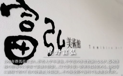 【61】富弘美術館満喫セット　ライト