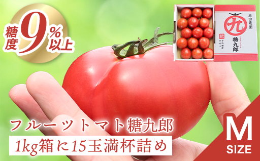 【a013】フルーツトマト糖九郎（Mサイズ）1kg箱15玉満杯詰め　2027年3月〜5月中旬発送分