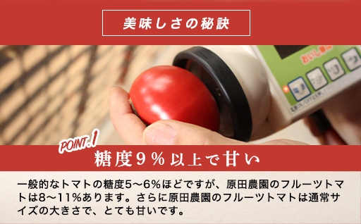 【a014】フルーツトマト糖九郎（Sサイズ）1kg箱18玉~20玉満杯詰め　2027年3月〜5月中旬発送分