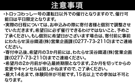 わたらせ渓谷鐵道　トロッコわっしー号運転体験　プレミアム貸切体験プラン