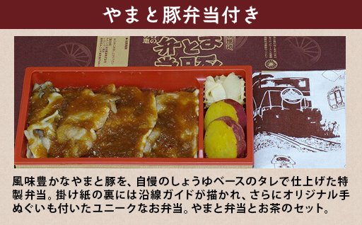 【49】わたらせ渓谷鐵道「トロッコ列車の旅セット」 ※こども１名用