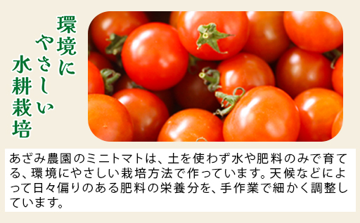 【1】ミニトマト1kg