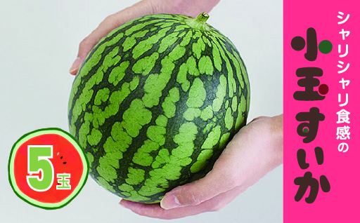 【102】シャリシャリ食感の小玉すいか5玉