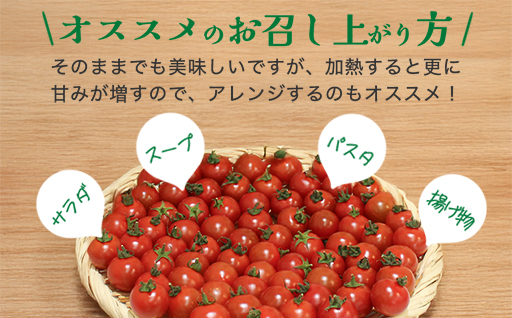 【11】ミニトマト2kg箱【10月以降順次発送】
