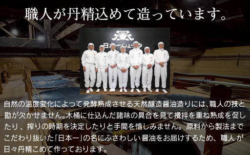 【74】日本一しょうゆ詰め合わせ