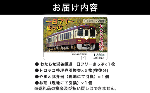 【73】わたらせ渓谷鐵道「トロッコ列車の旅セット」 ※おとな１名用