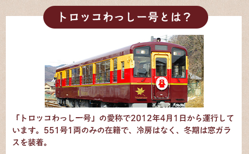 わたらせ渓谷鐵道　トロッコわっしー号　特別貸切プラン