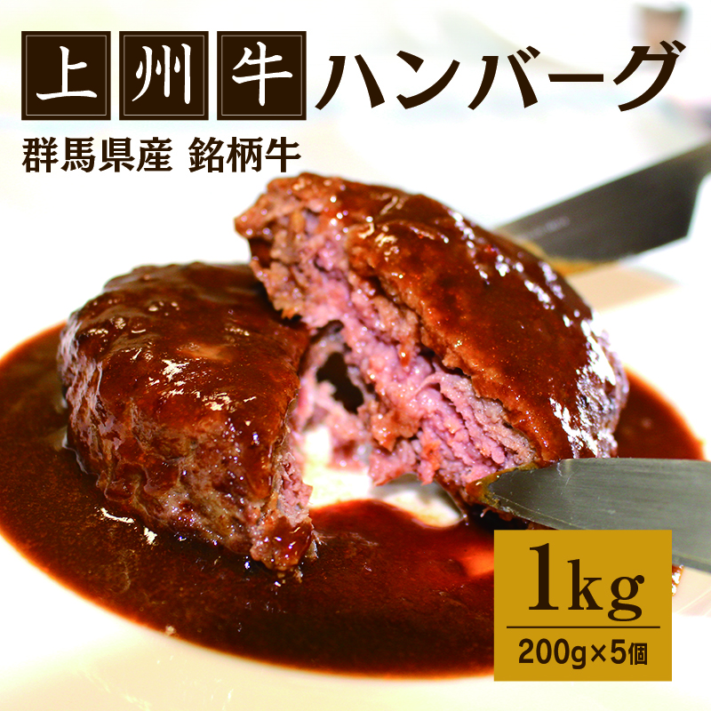 【172】 上州牛ハンバーグ1kg（200g×5個）