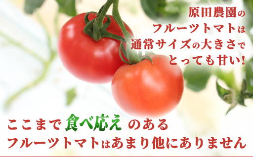 ãa010ããã«ãŒããããç³åéïŒMãµã€ãºïŒ1kgç®±15çæºæ¯è©°ãã2026幎3æã5æçºéå