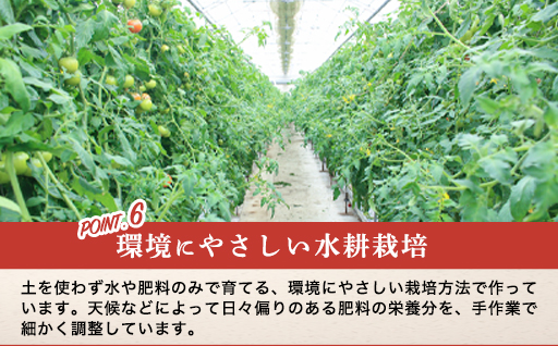 ãa010ããã«ãŒããããç³åéïŒMãµã€ãºïŒ1kgç®±15çæºæ¯è©°ãã2026幎3æã5æçºéå