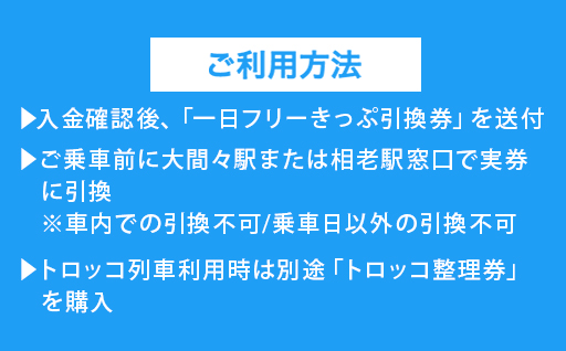 【96】わたらせ渓谷鐵道「わ鐵のわっしー」グッズ＆一日フリーきっぷ
