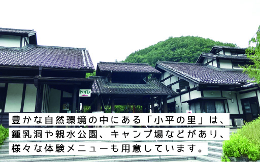 【56】小平の里 流しうどん体験&鍾乳洞見学 2名様