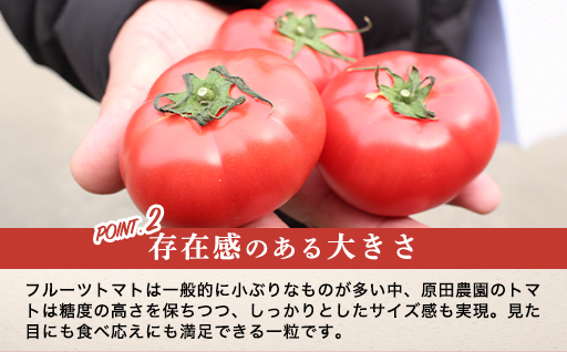 【a013】フルーツトマト糖九郎（Mサイズ）1kg箱15玉満杯詰め　2027年3月〜5月中旬発送分