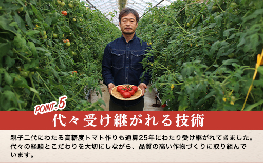 【a013】フルーツトマト糖九郎（Mサイズ）1kg箱15玉満杯詰め　2027年3月〜5月中旬発送分