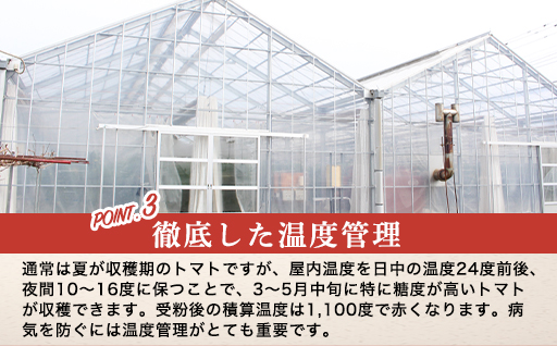 ãa012ããã«ãŒããããç³ä¹éïŒLãµã€ãºïŒ1kgç®±12ç~13çæºæ¯è©°ãã2026幎3æã5æçºéå