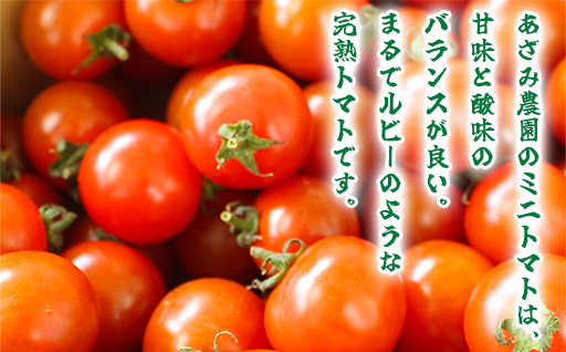 【1】ミニトマト1kg