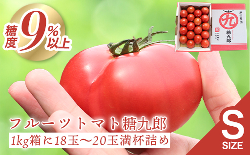 【a014】フルーツトマト糖九郎（Sサイズ）1kg箱18玉~20玉満杯詰め　2027年3月〜5月中旬発送分