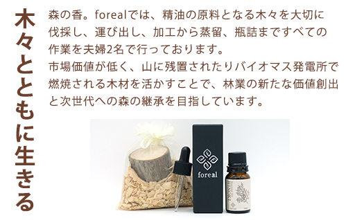 縲251縲第」ョ縺ョ鬥吶4UGIシWOOD繝繧」繝輔Η繝シ繧カ繝シ莉倥″シ