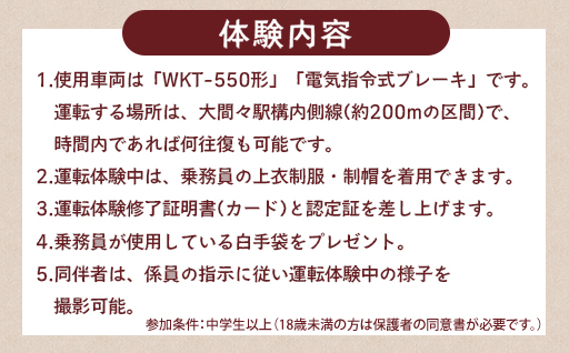 わたらせ渓谷鐵道　トロッコわっしー号運転体験　プレミアム貸切体験プラン