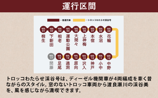 【49】わたらせ渓谷鐵道「トロッコ列車の旅セット」 ※こども１名用
